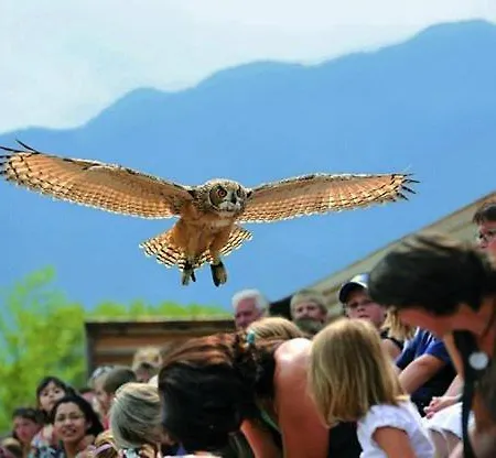 Casa-doya In Centro Apartman Muralto